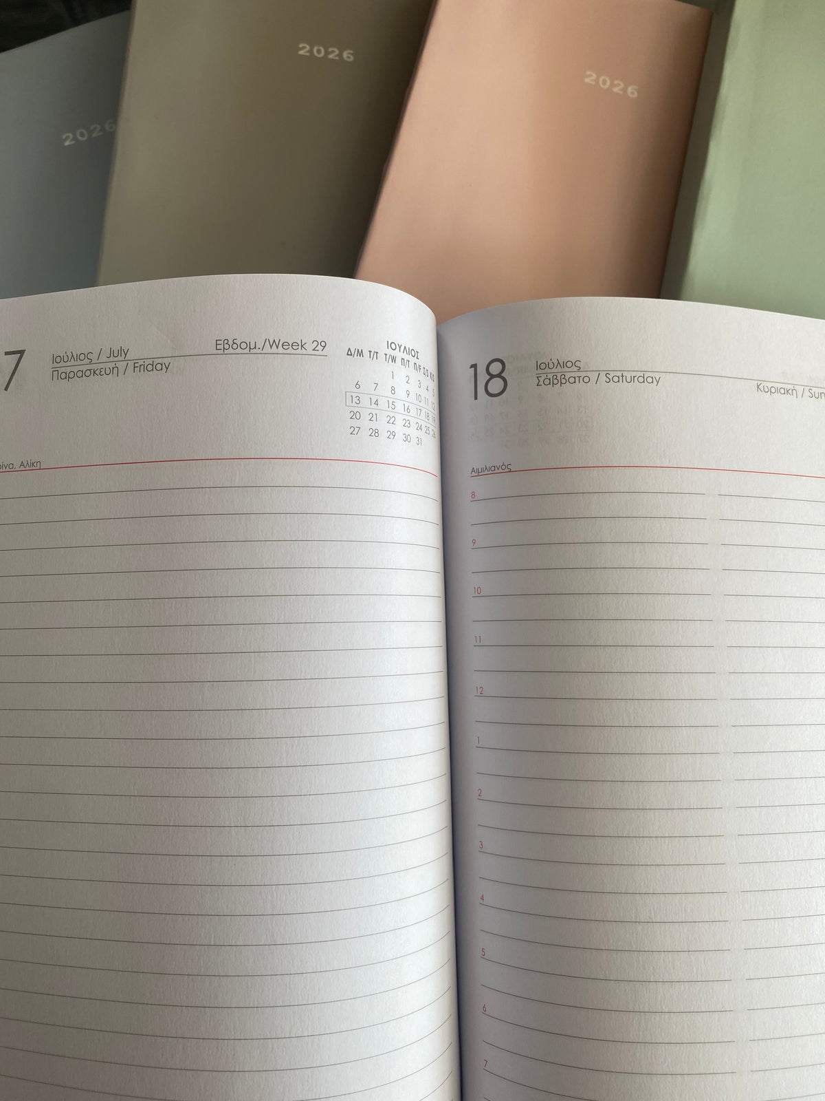 Diary Flexi pastel 12x17 2026 NEXT