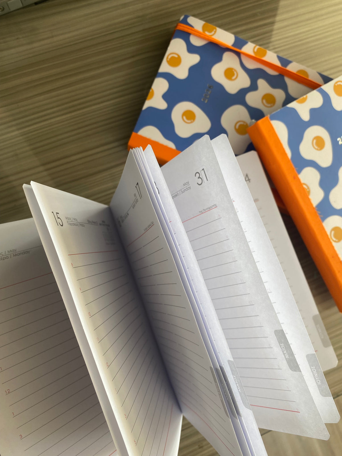 Diary Daily Trends 12x17 NEXT