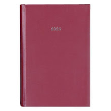 Diary Daily 2025 Hard Cover Metalic Gold 17x25mm NEXT