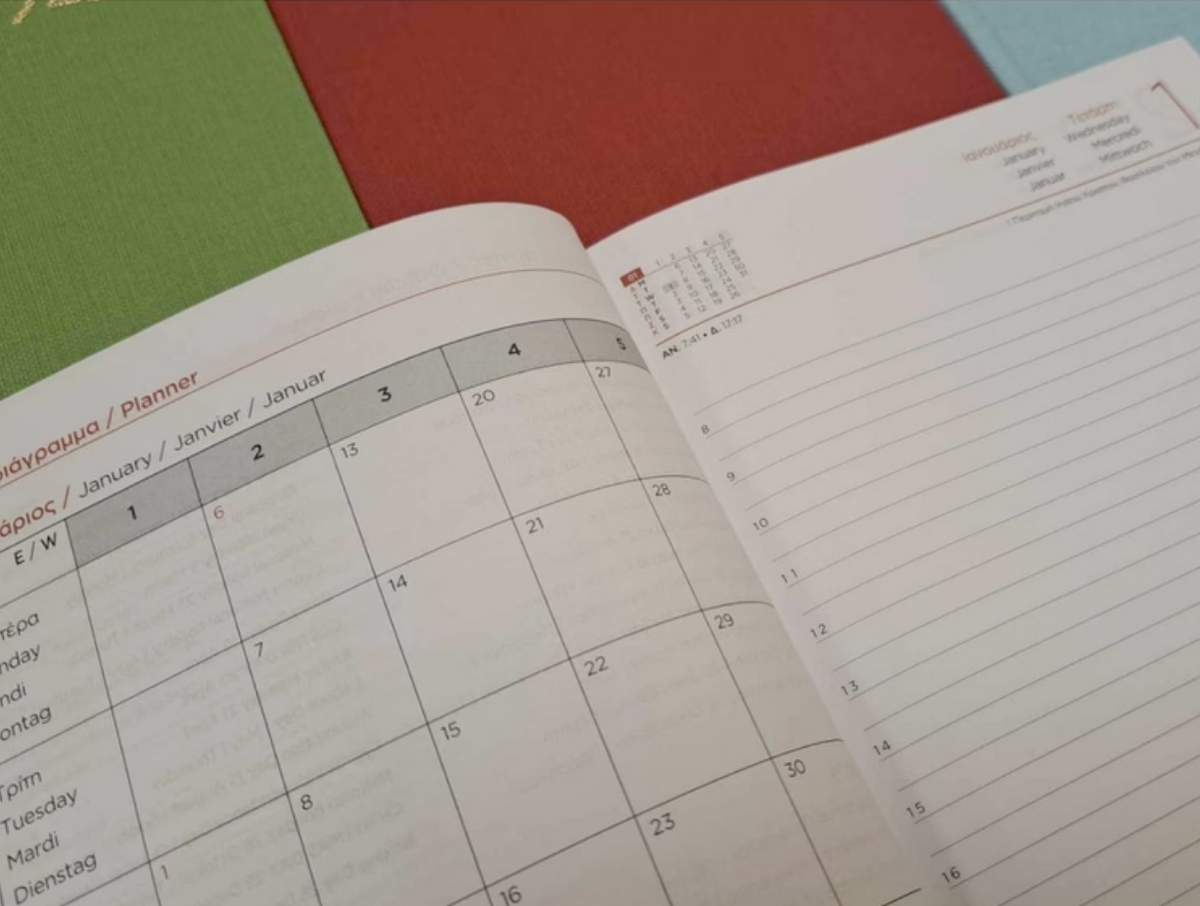 Diary 2025 12x17 *with Monthly Dividers* TYPOFIX