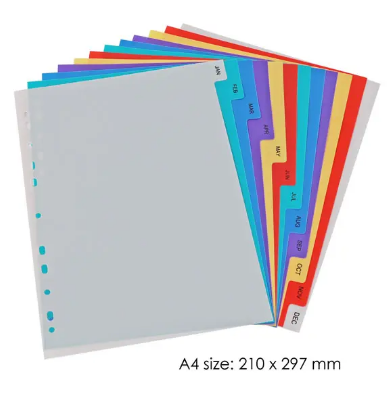 Dividers Months Colors Plastic FOSKA