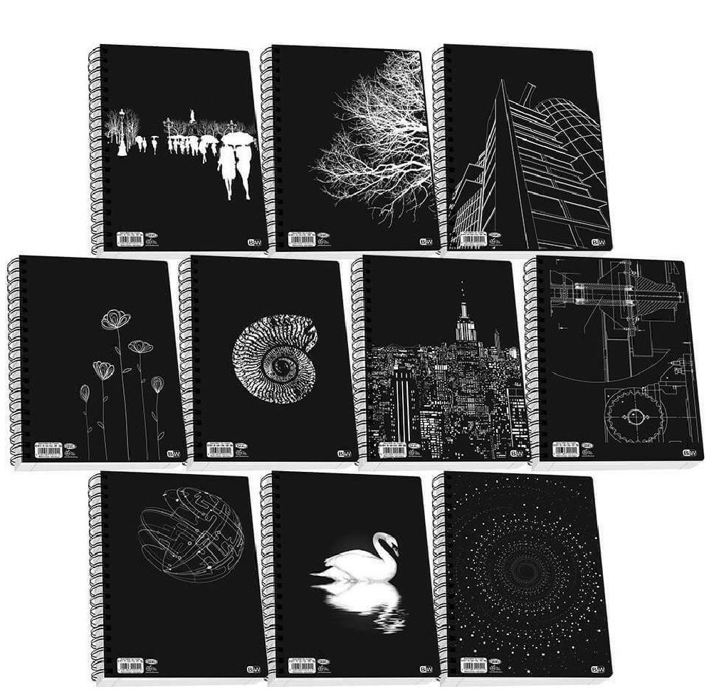 Notebook 4subj. 21x29cm 120sh. SKAG