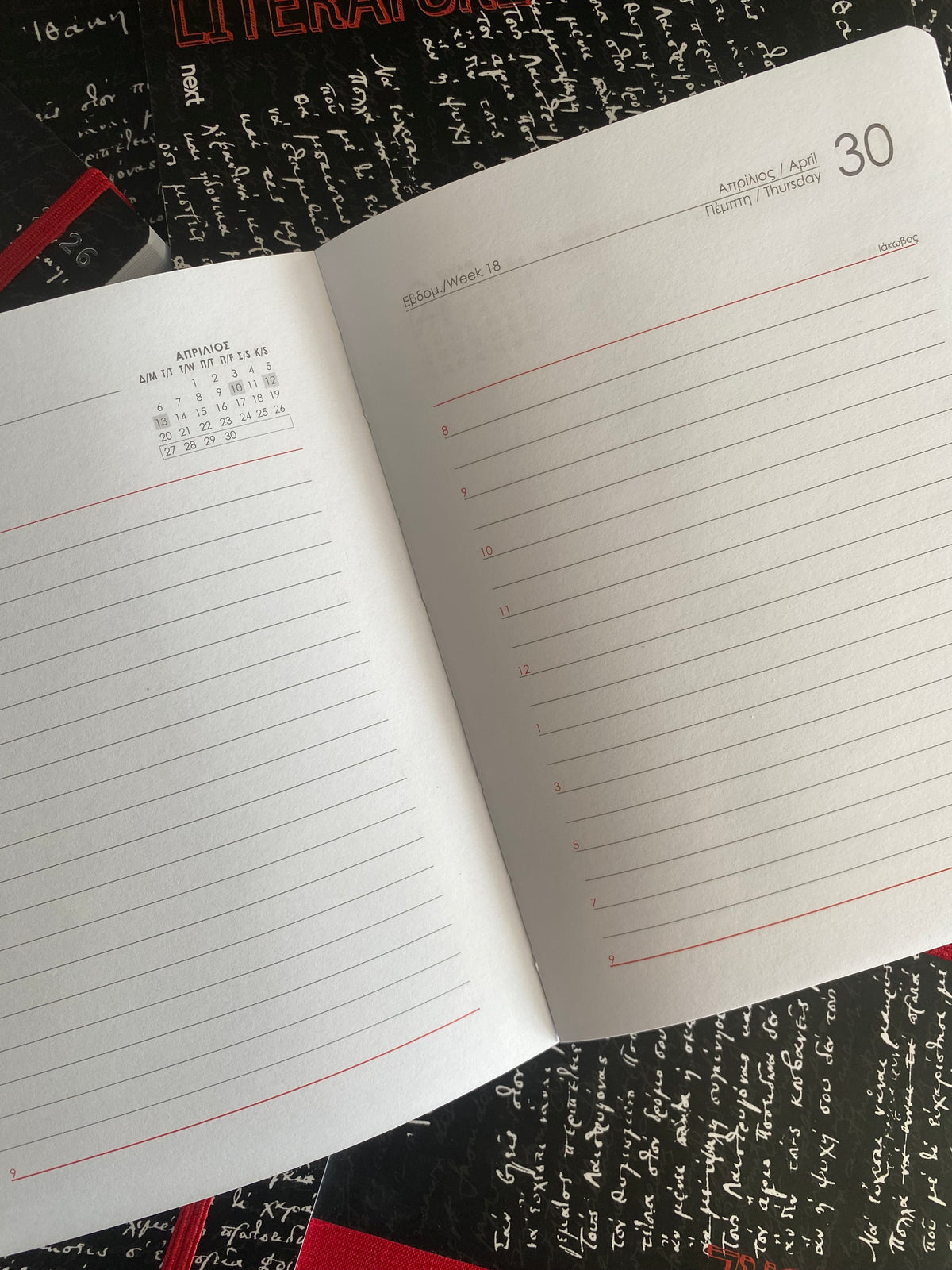 Diary Daily Trends 12x17 NEXT