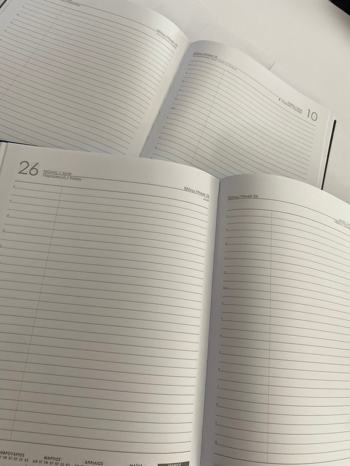Diary Daily Basic XL 21x29 2026 Hard Cover NEXT
