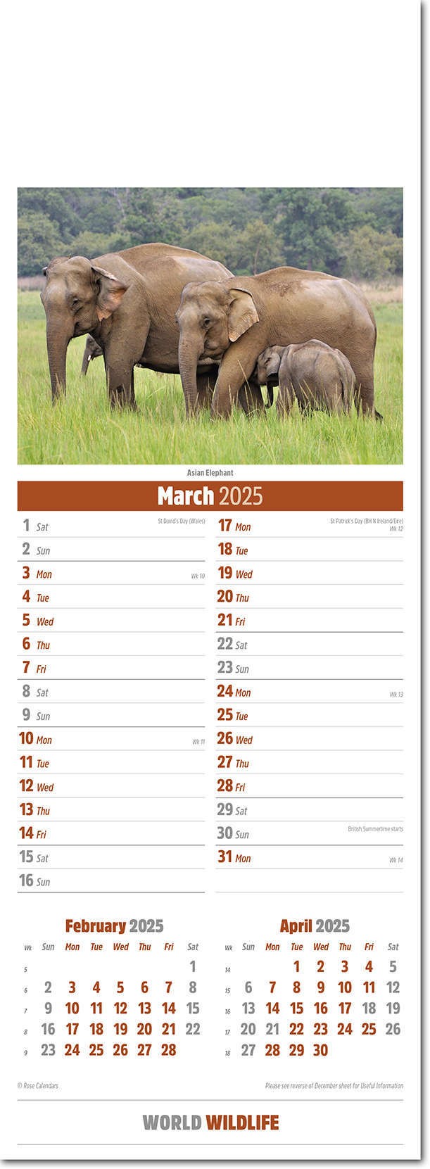 Slimline 2025 Square Calendar Wild Animals 4 Assorted Designs