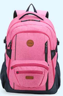 Backpack Ergonomic (Detachable) Pink AOKING
