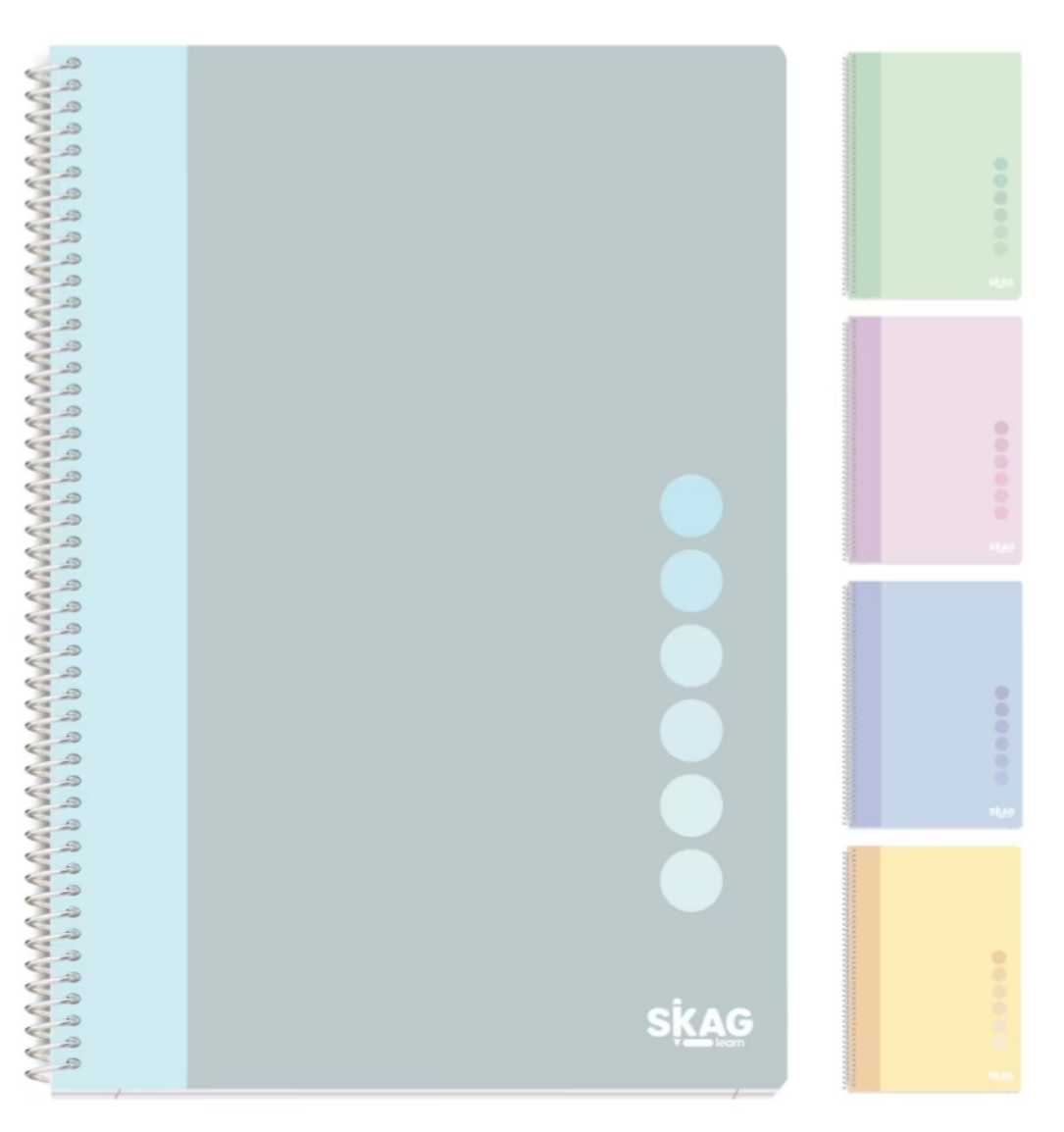 Notebook 17x25cm 3subj. 90sh. (Random Colour) SKAG