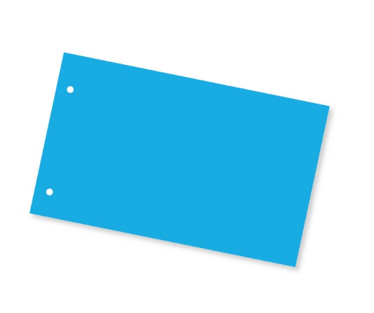 Dividers 11x23cm Light Blue x100 TYPOTRUST