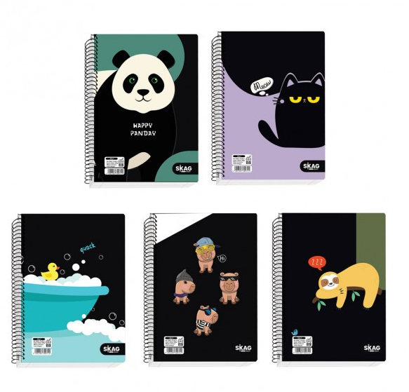 Notebook 17x25cm 4subj. 120sh. (Random Theme) SKAG